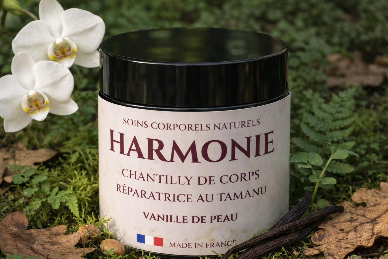 Pot Harmonie posé sur mousse avec orchidées blanches